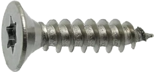 Νοβοπανόβιδες πάχους 3mm Torx ανοξείδωτες AISI304 (σακουλάκι 100 τεμαχίων) Νοβοπανόβιδες πάχους 3mm Torx ανοξείδωτες AISI304 (σακουλάκι 100 τεμαχίων)